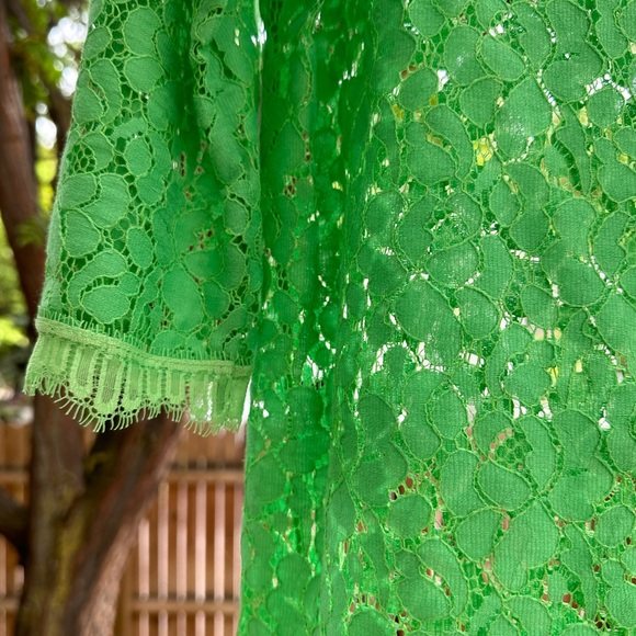 Anthropologie Weston Wear Green Lace Cropped 3/4 Sleeve Blouse Top Medium - Picture 8 of 15